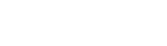 Dominion Due Diligence Logo White rgb